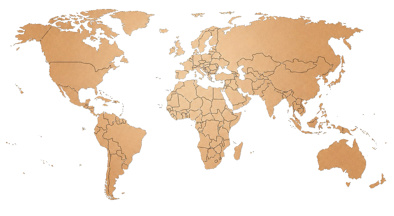 International Engagement